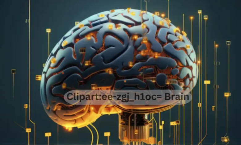 clipart:ee-zgj_h1oc= brain